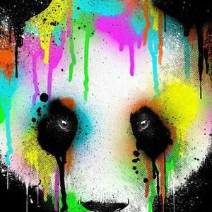 Meet your Posher, Braden